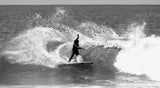 Taylor Knox (S, M, L) - Apex-Naked Viking Surf